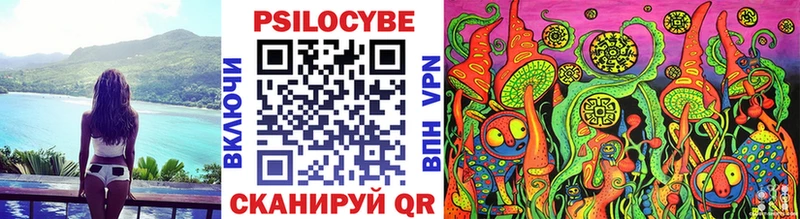 Купить где  Сольцы  Псилоцибиновые грибы GOLDEN TEACHER 
