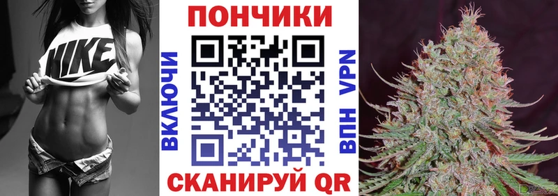 Купить закладки  Сольцы  МАРИХУАНА SATIVA & INDICA 